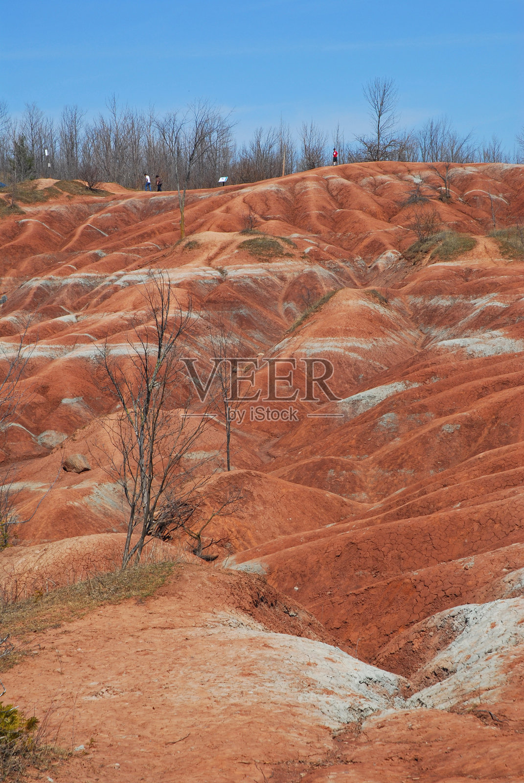 荒地照片摄影图片