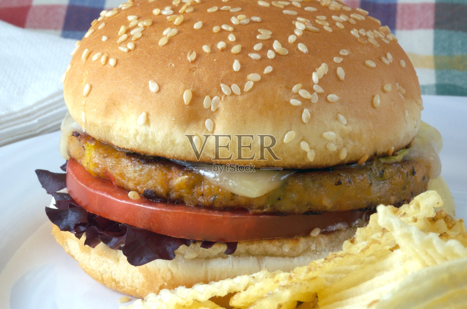 蔬菜汉堡包照片摄影图片