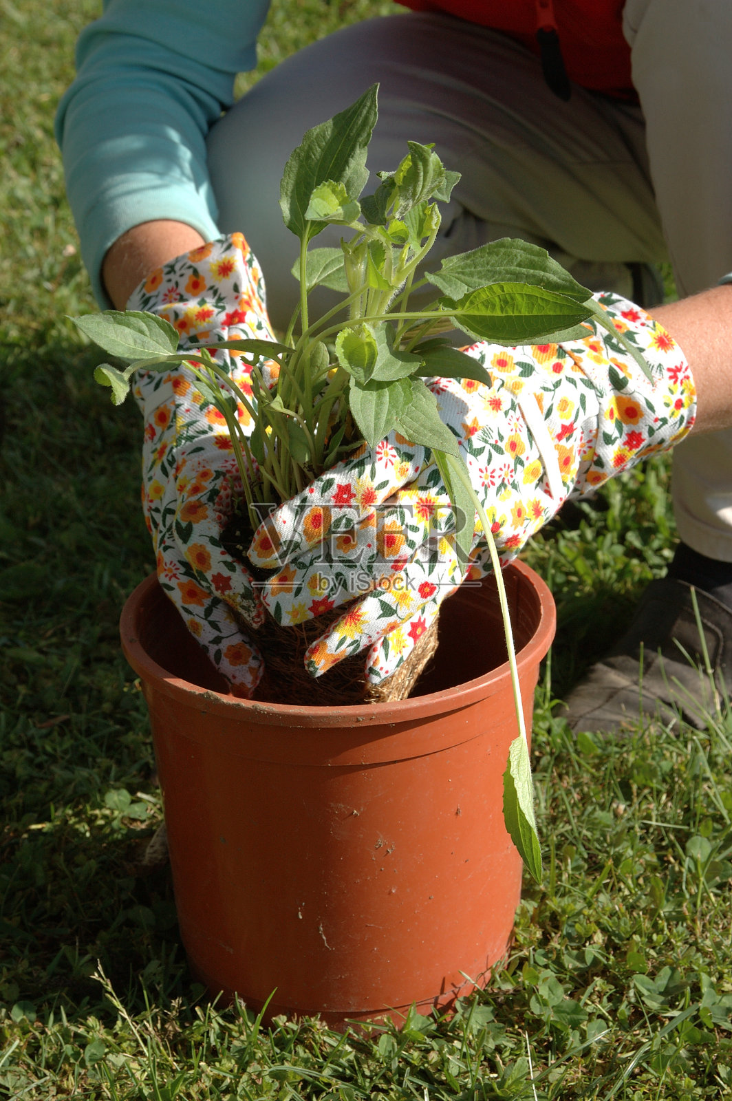 小心轻放照片摄影图片
