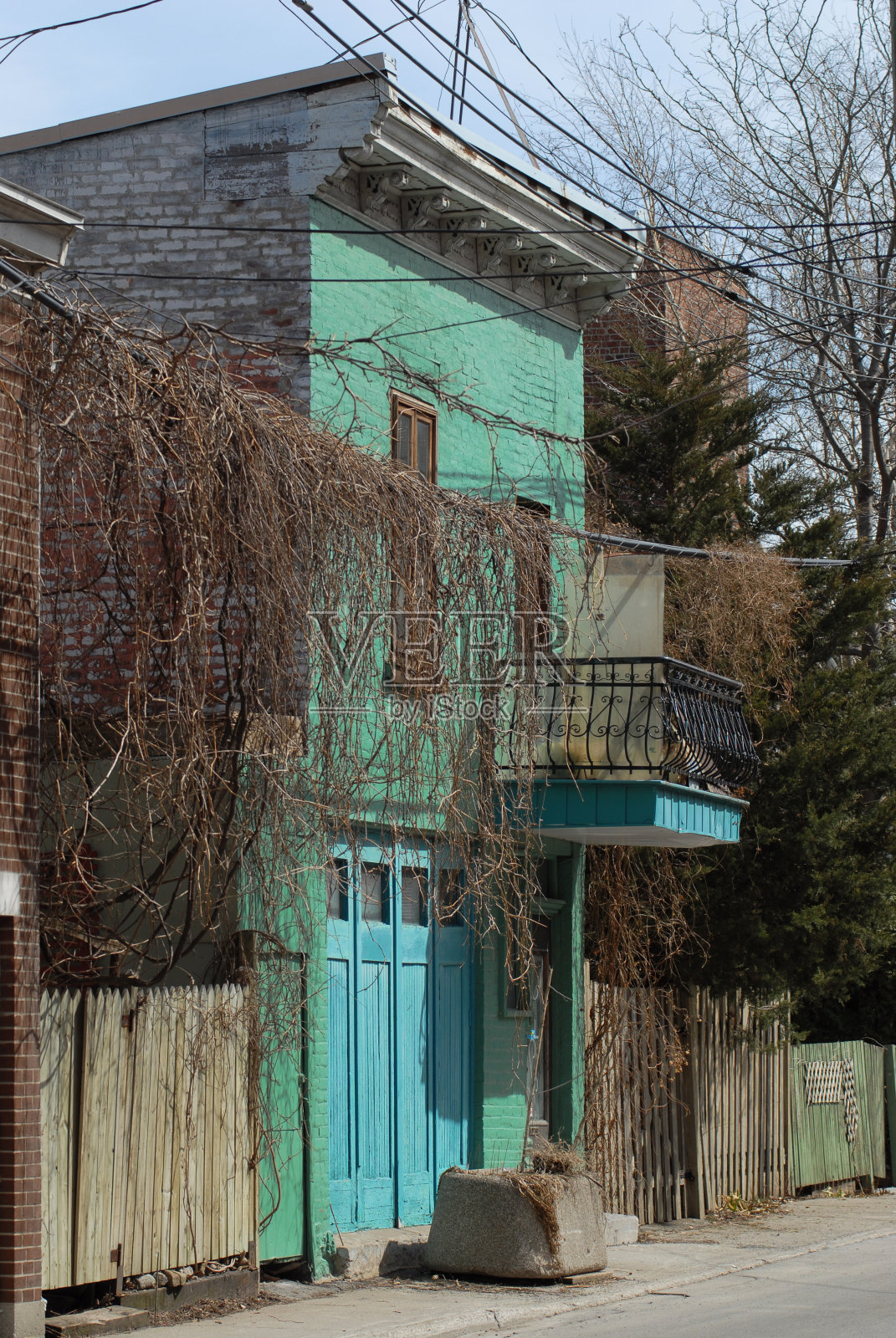 偷偷摸摸的细节照片摄影图片