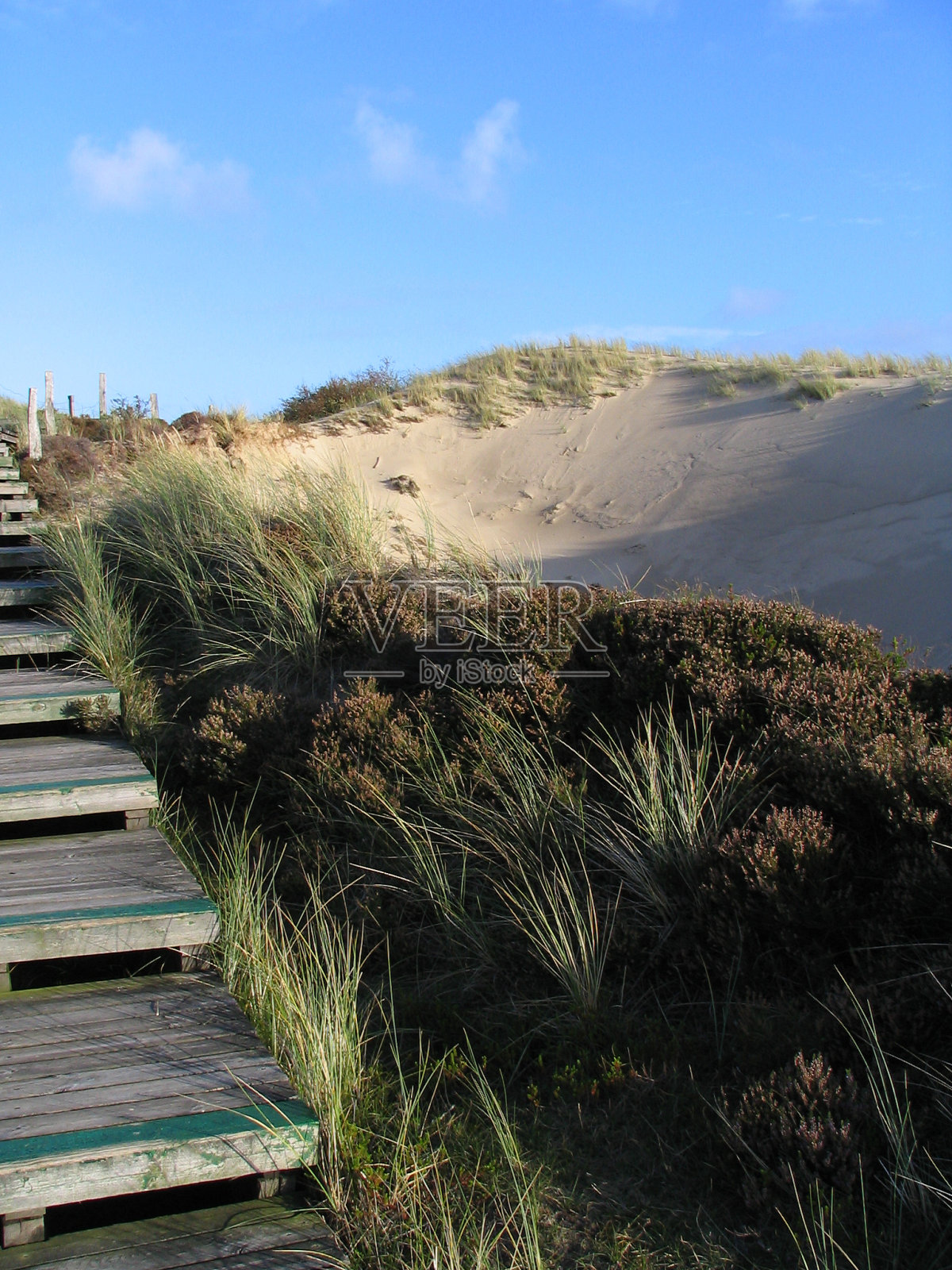 沙丘中的脚步照片摄影图片