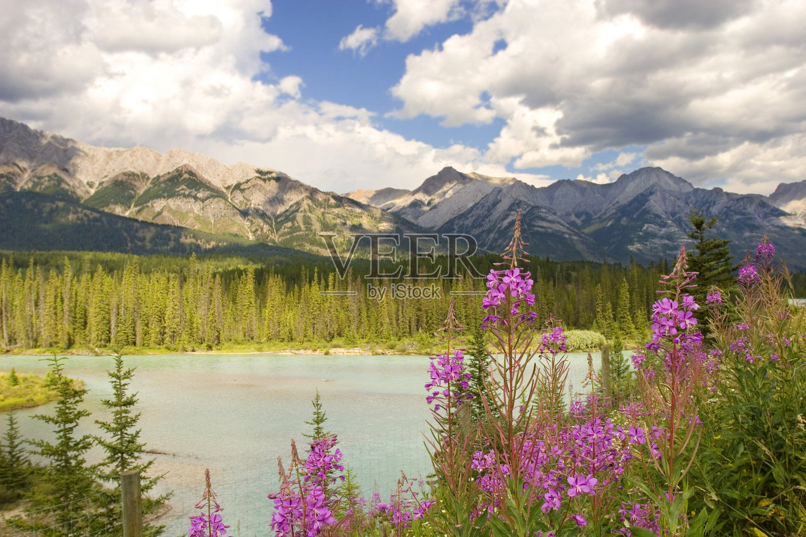 有山、有河、有花的户外景色照片摄影图片