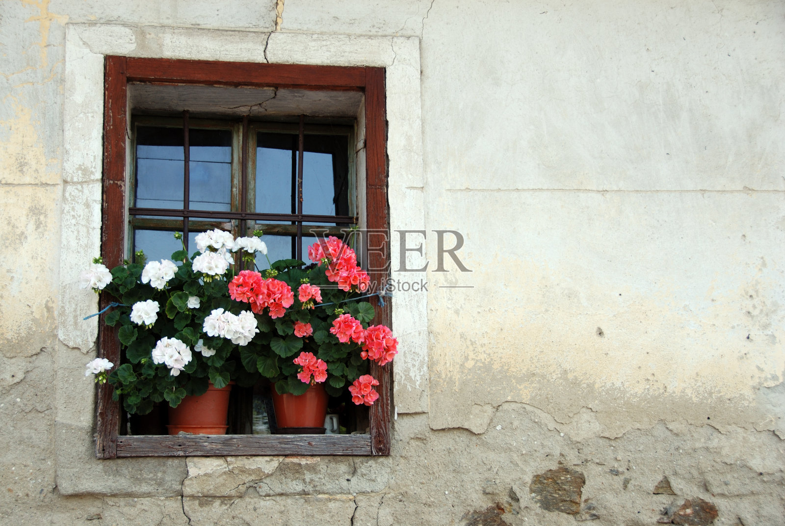 快乐的窗口照片摄影图片