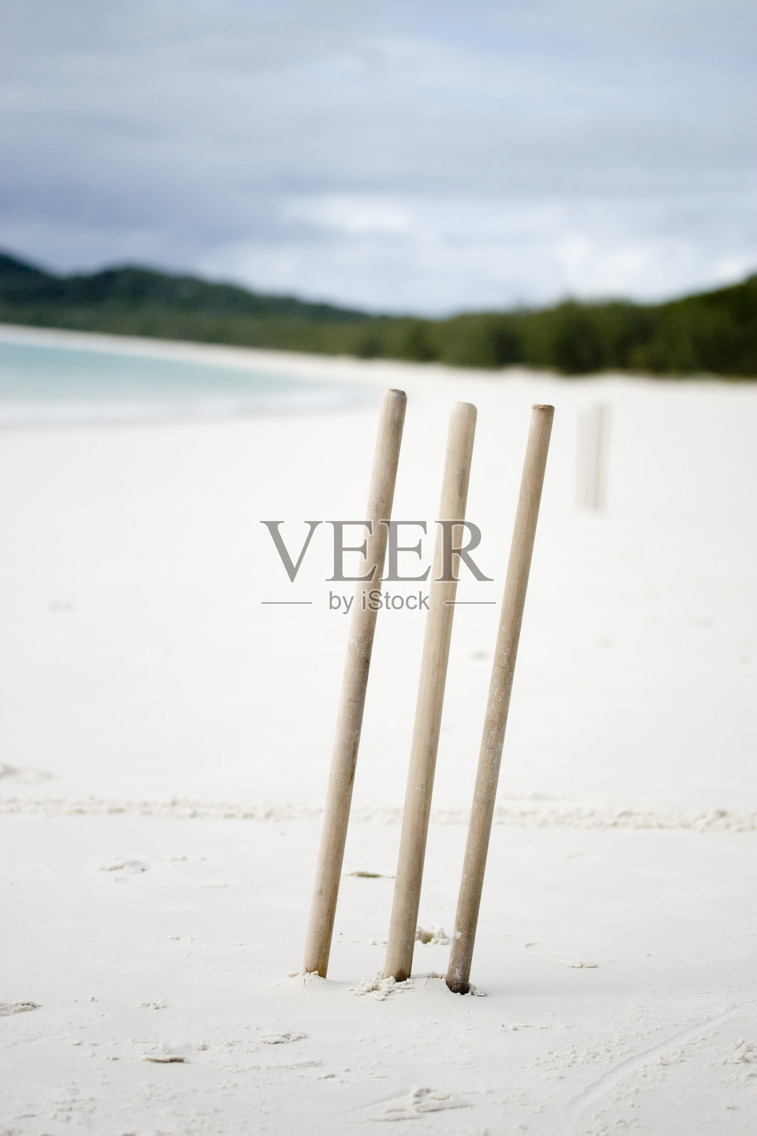 一个废弃的海滩上的蟋蟀树桩照片摄影图片