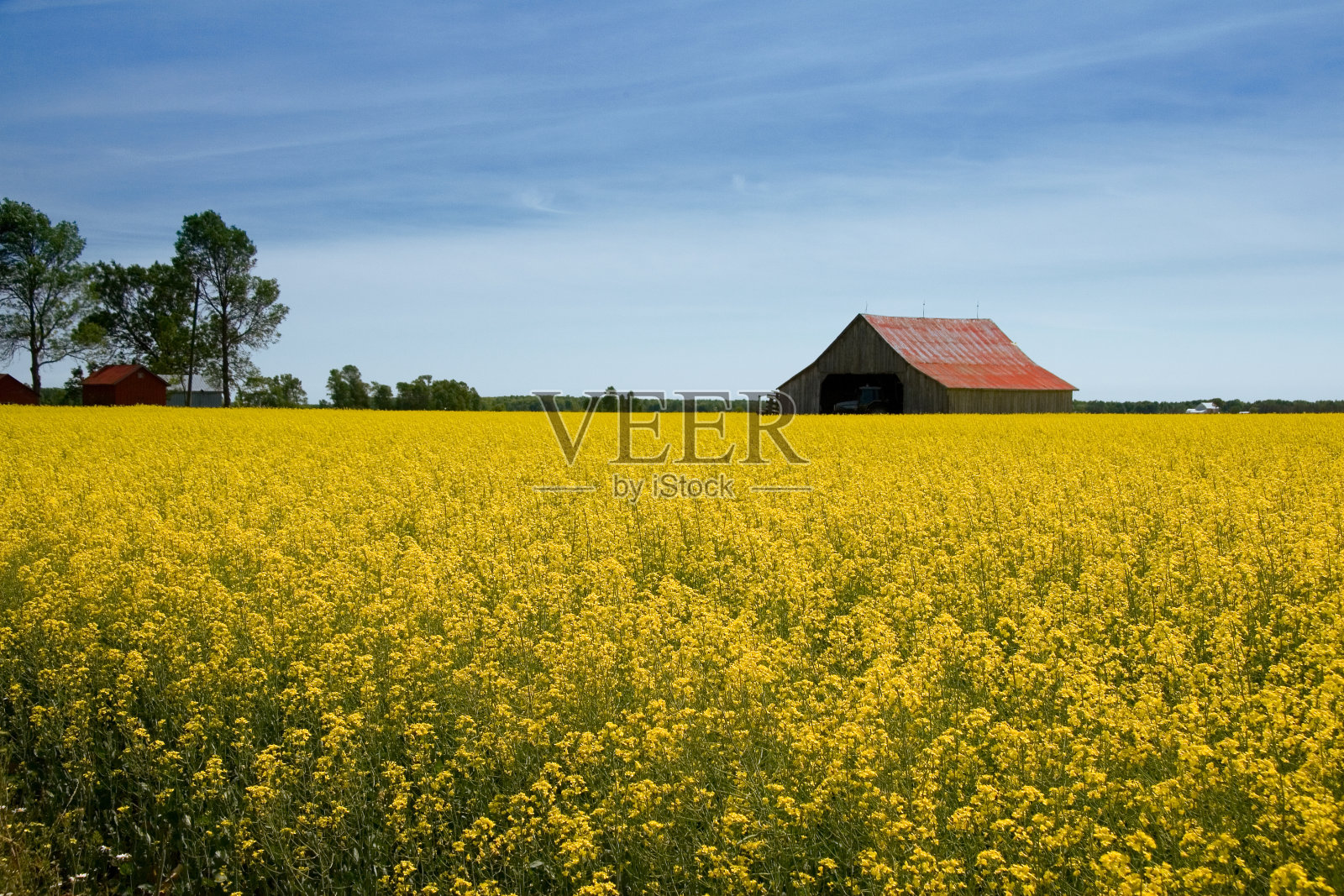 农民的天堂照片摄影图片