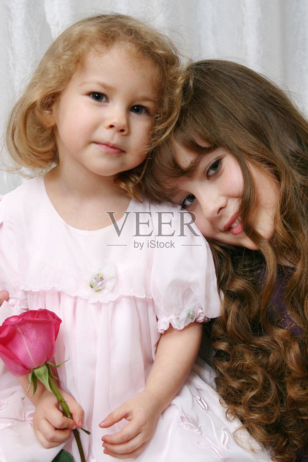 肖像用红玫瑰。照片摄影图片