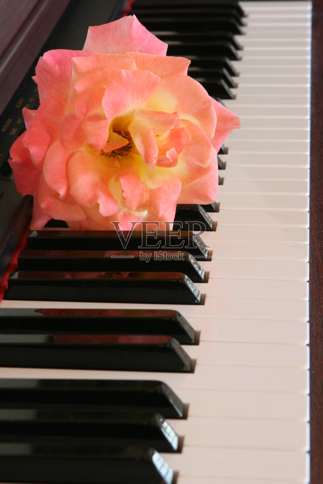 对音乐的热爱照片摄影图片