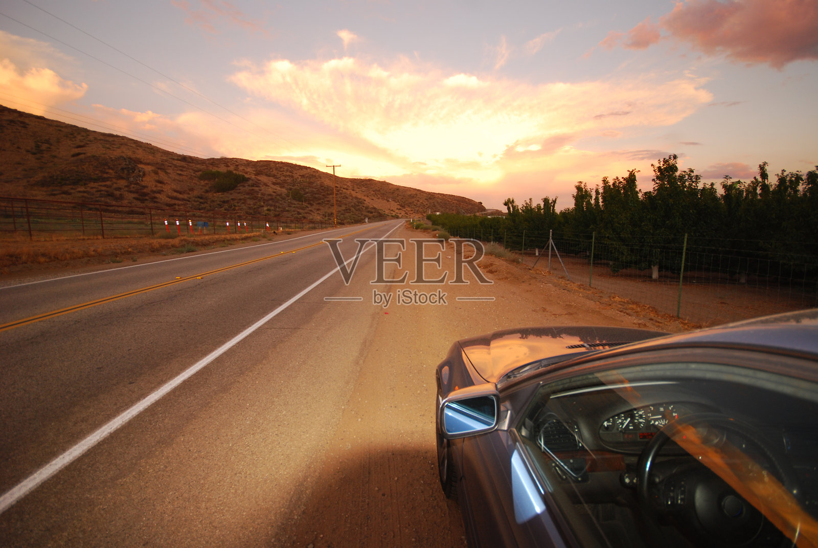 高云二世照片摄影图片