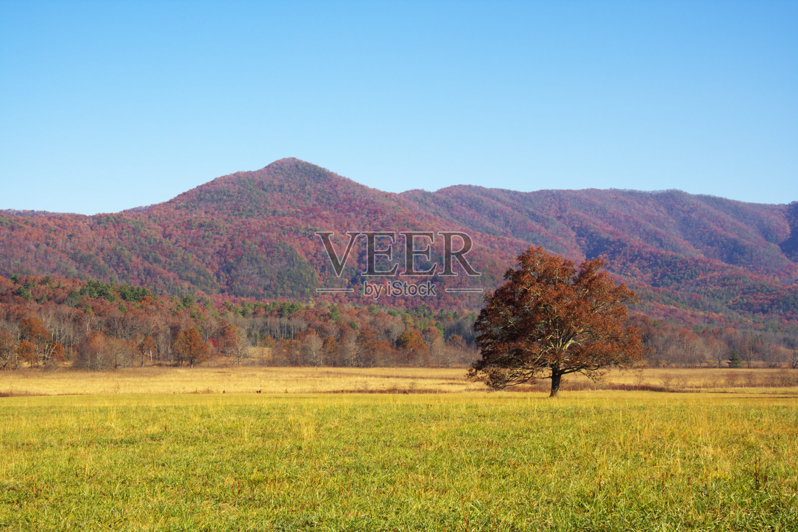 秋天五颜六色的山景照片摄影图片