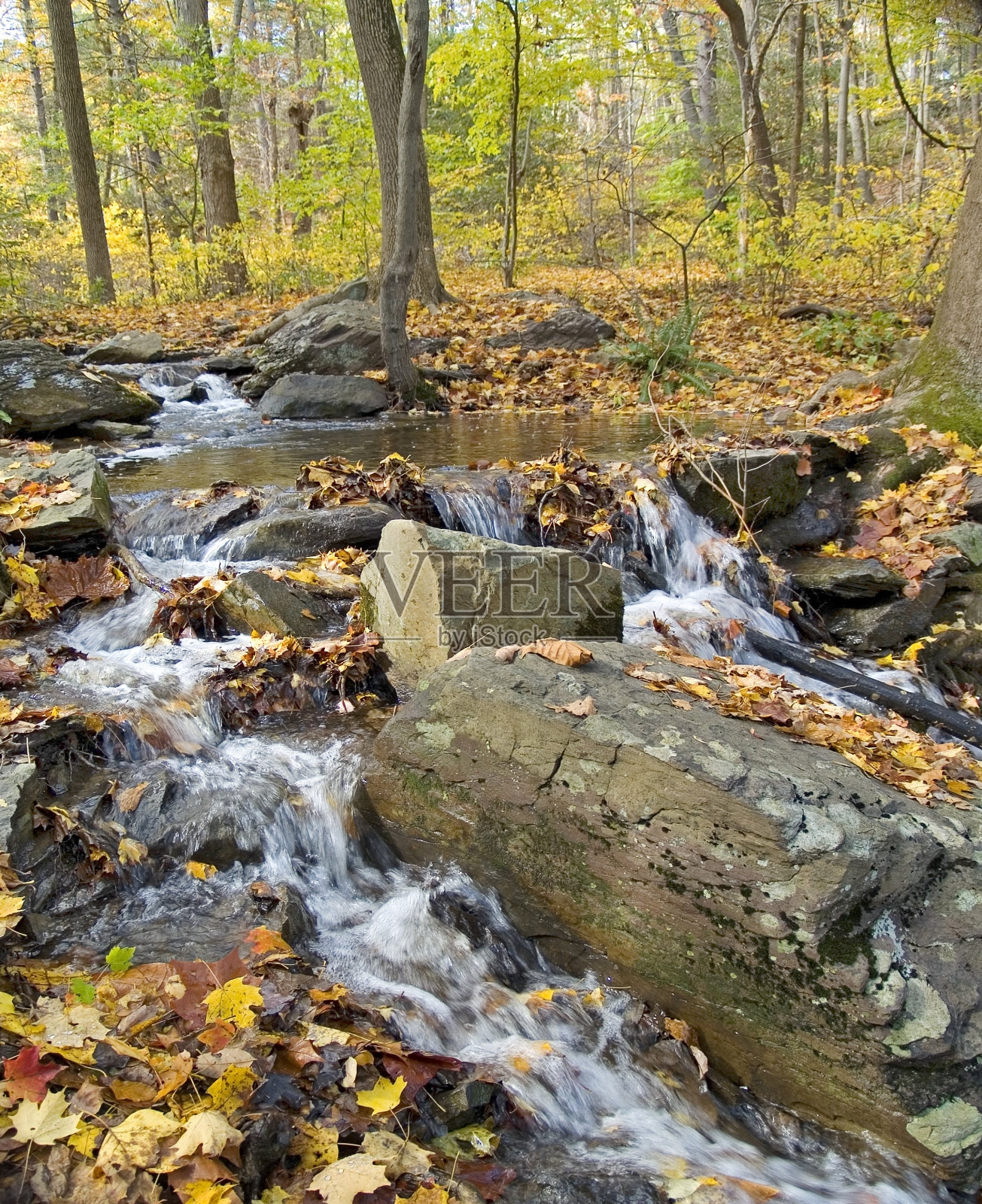 高山流水照片摄影图片