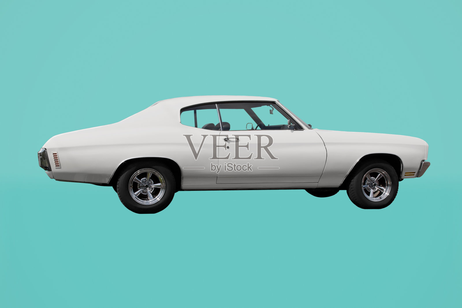 白色肌肉照片摄影图片