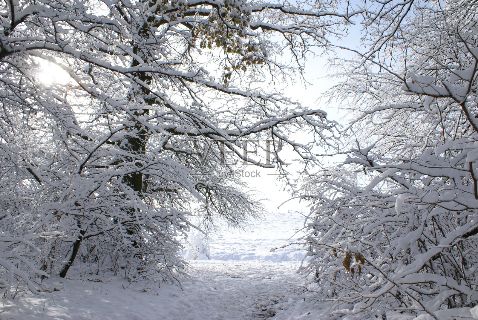 冬天的晴天照片摄影图片
