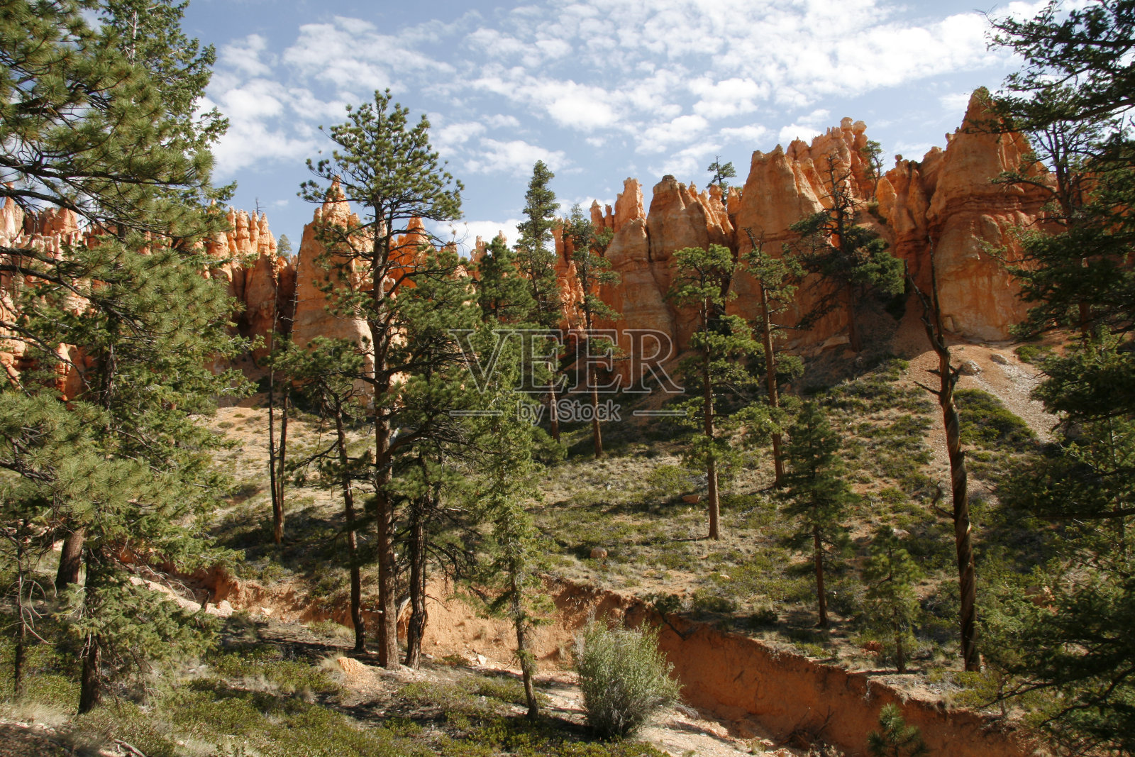 犹他州布莱斯峡谷照片摄影图片