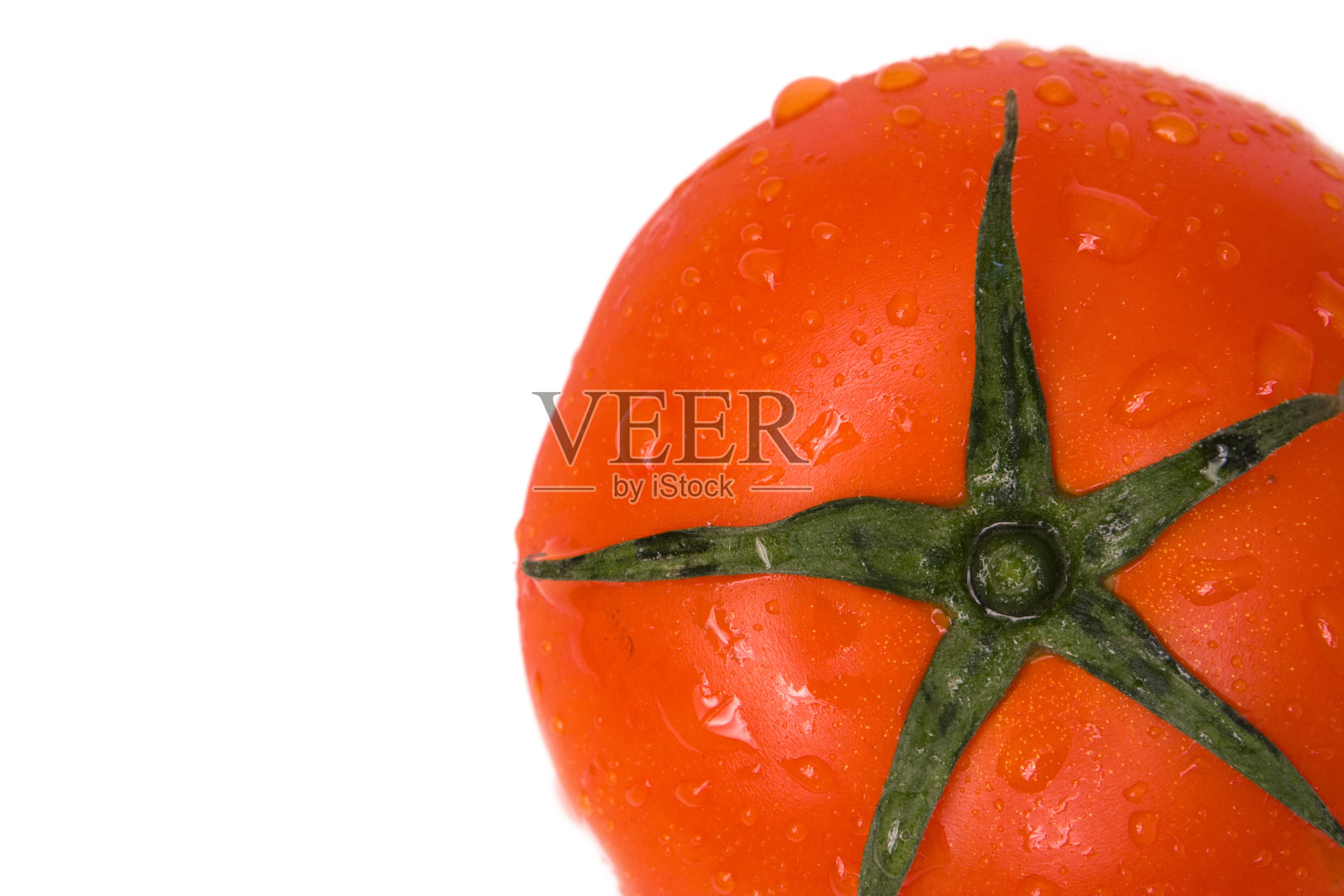 番茄照片摄影图片