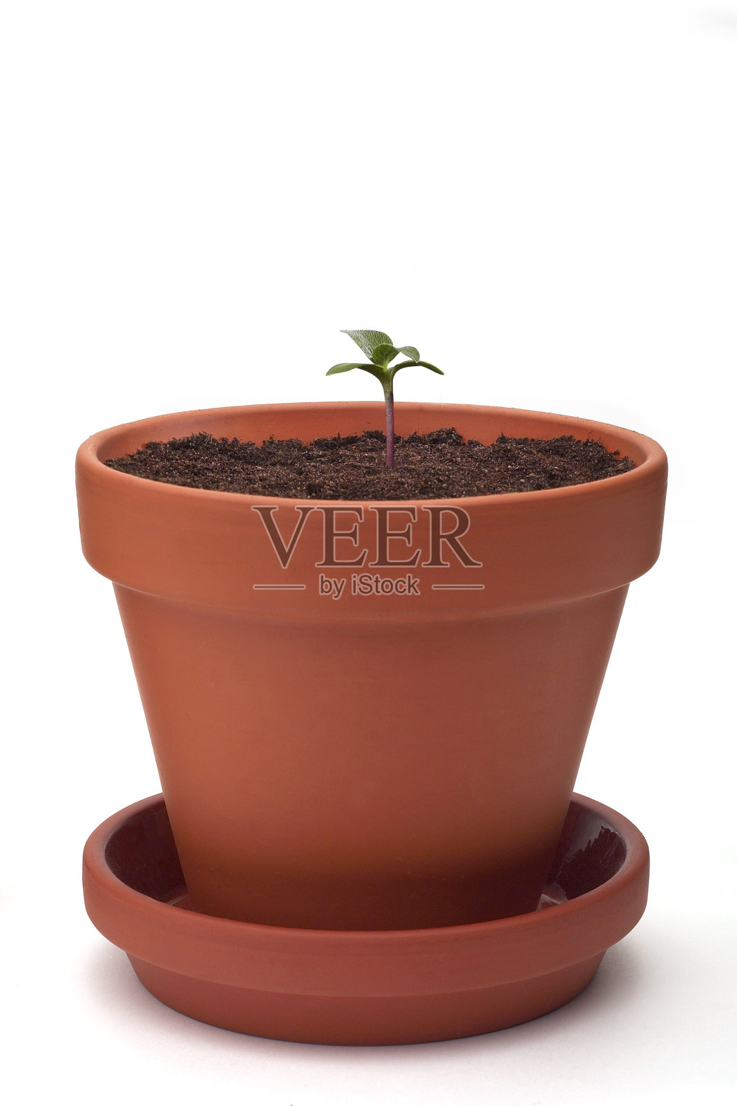 越来越多的工厂照片摄影图片