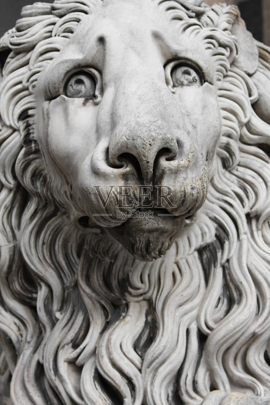 狮子雕塑照片摄影图片