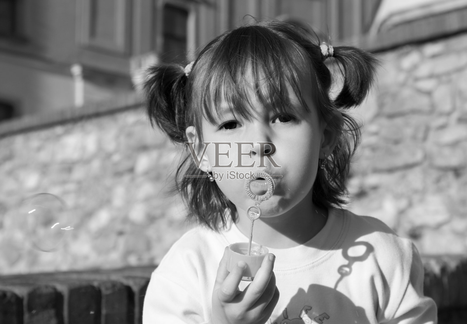 小姐和布雷照片摄影图片