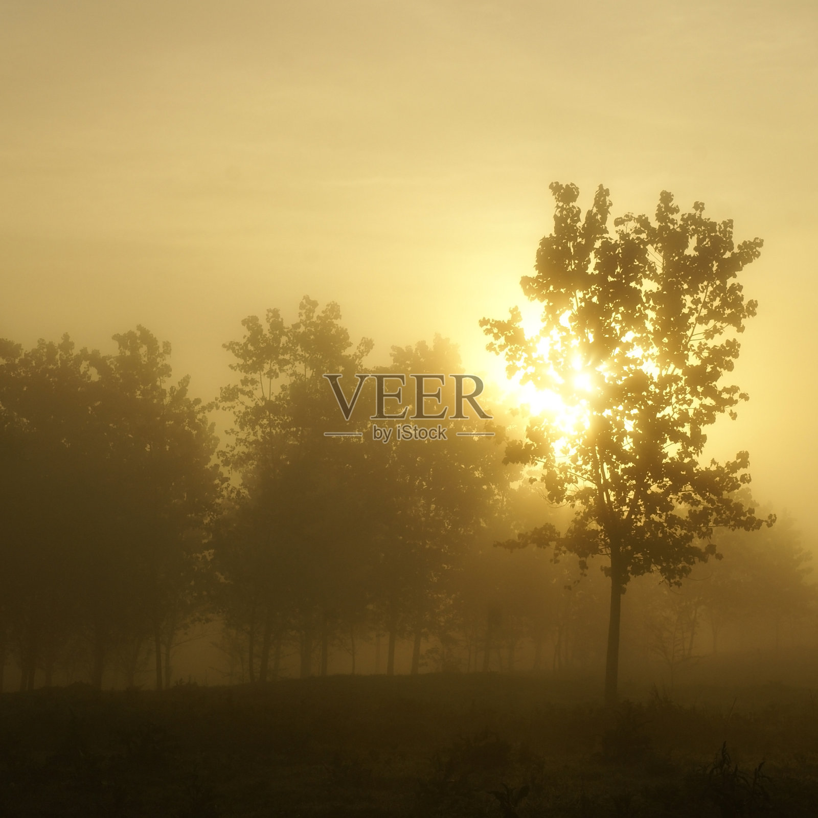 早....照片摄影图片