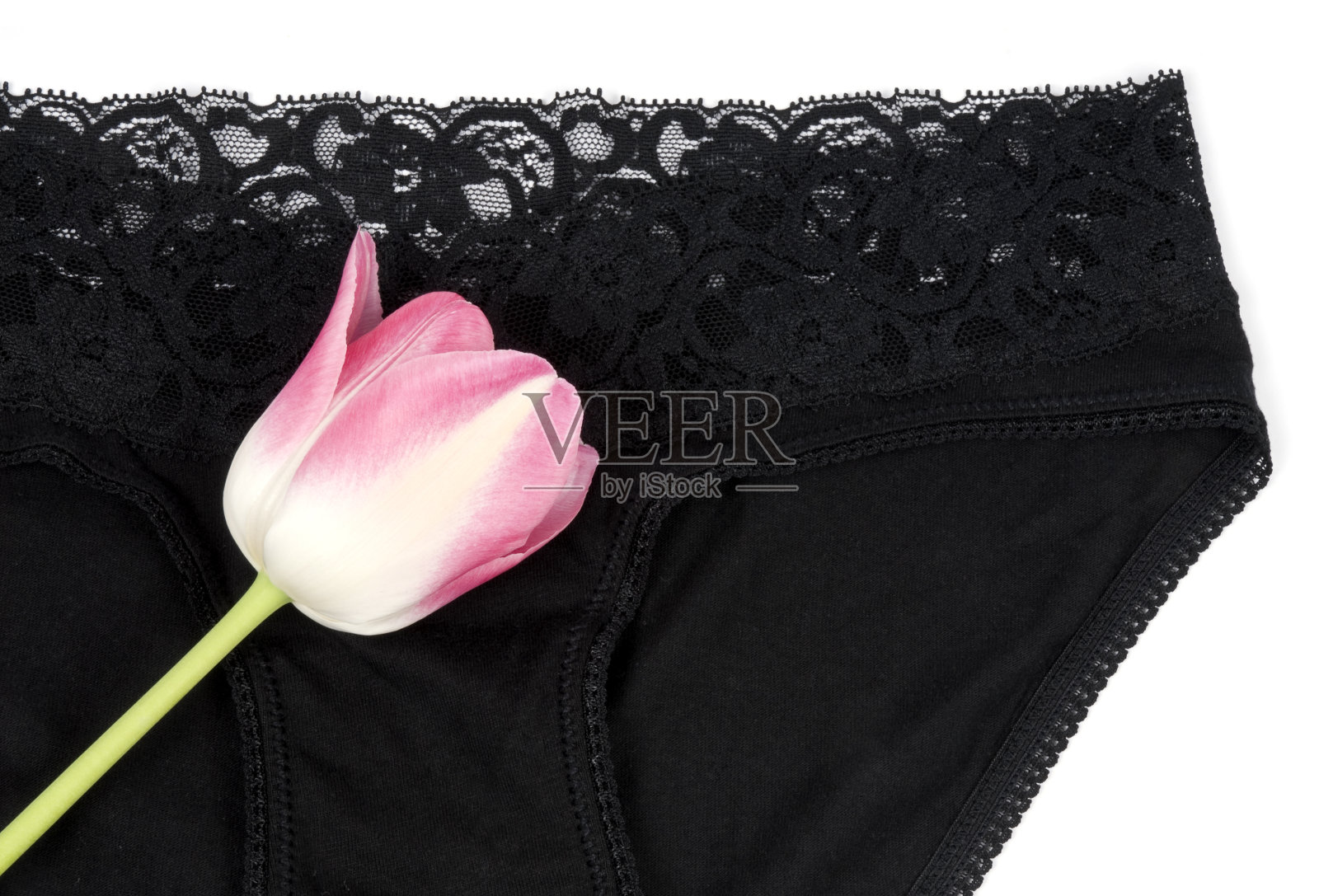黑色棉内裤和粉色郁金香照片摄影图片