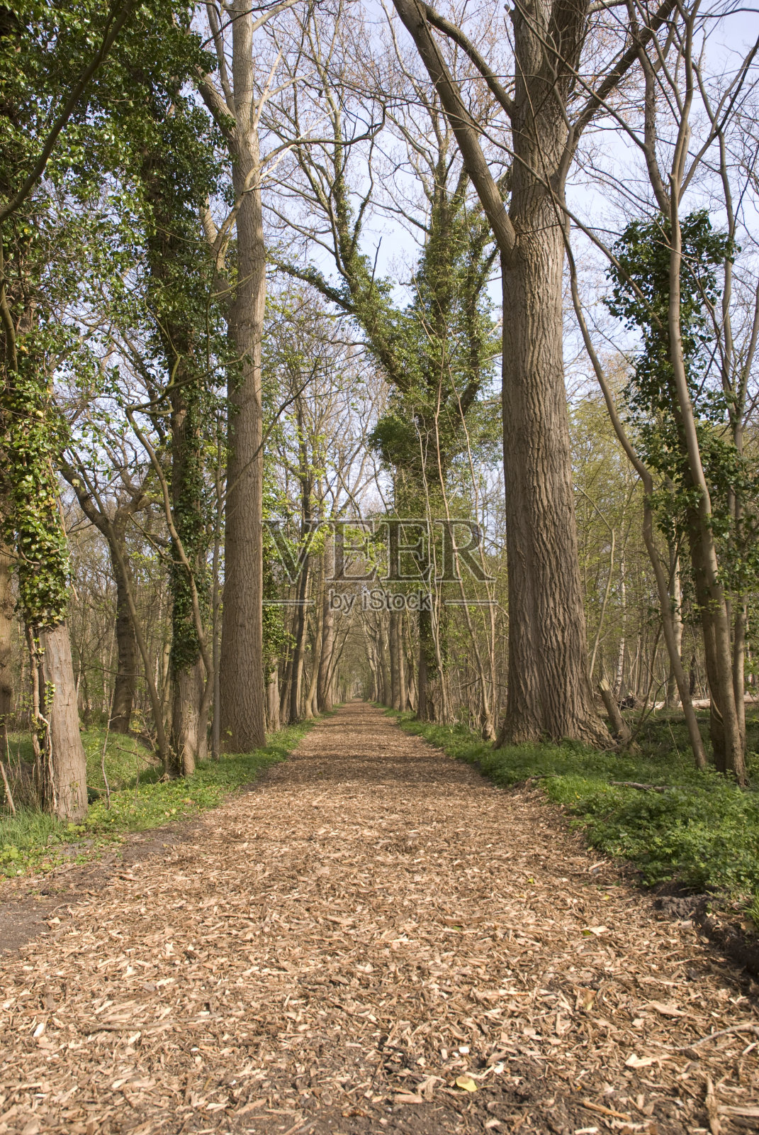 步行道照片摄影图片