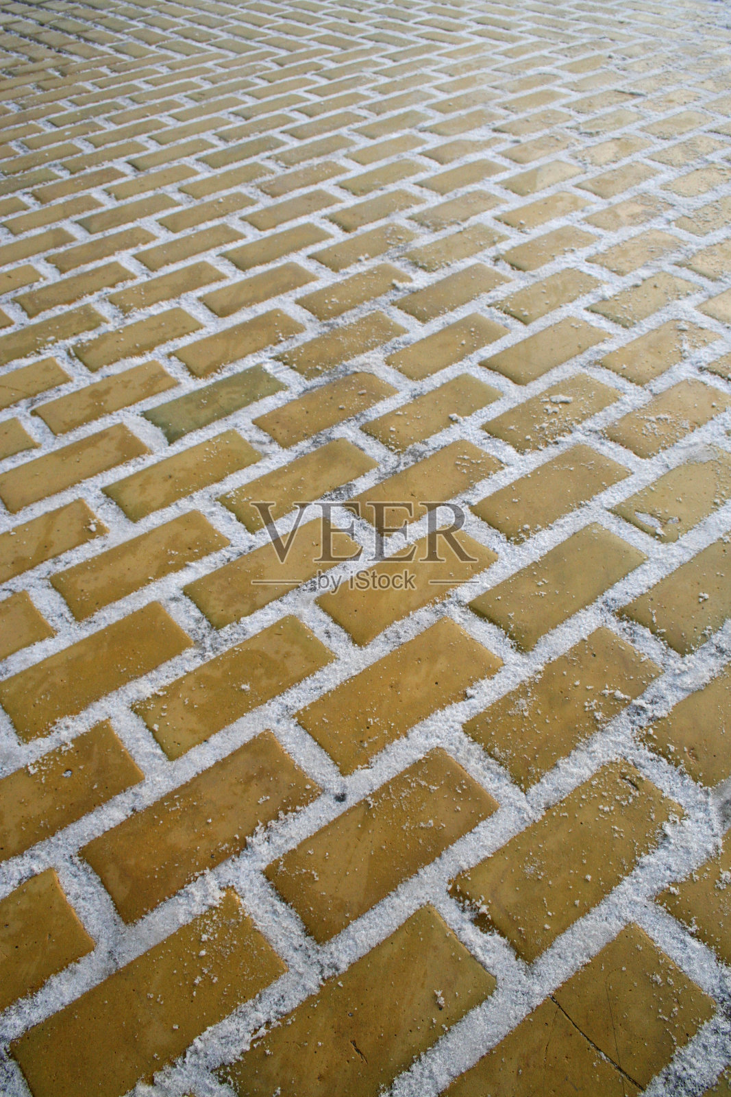 沿着黄砖路走照片摄影图片