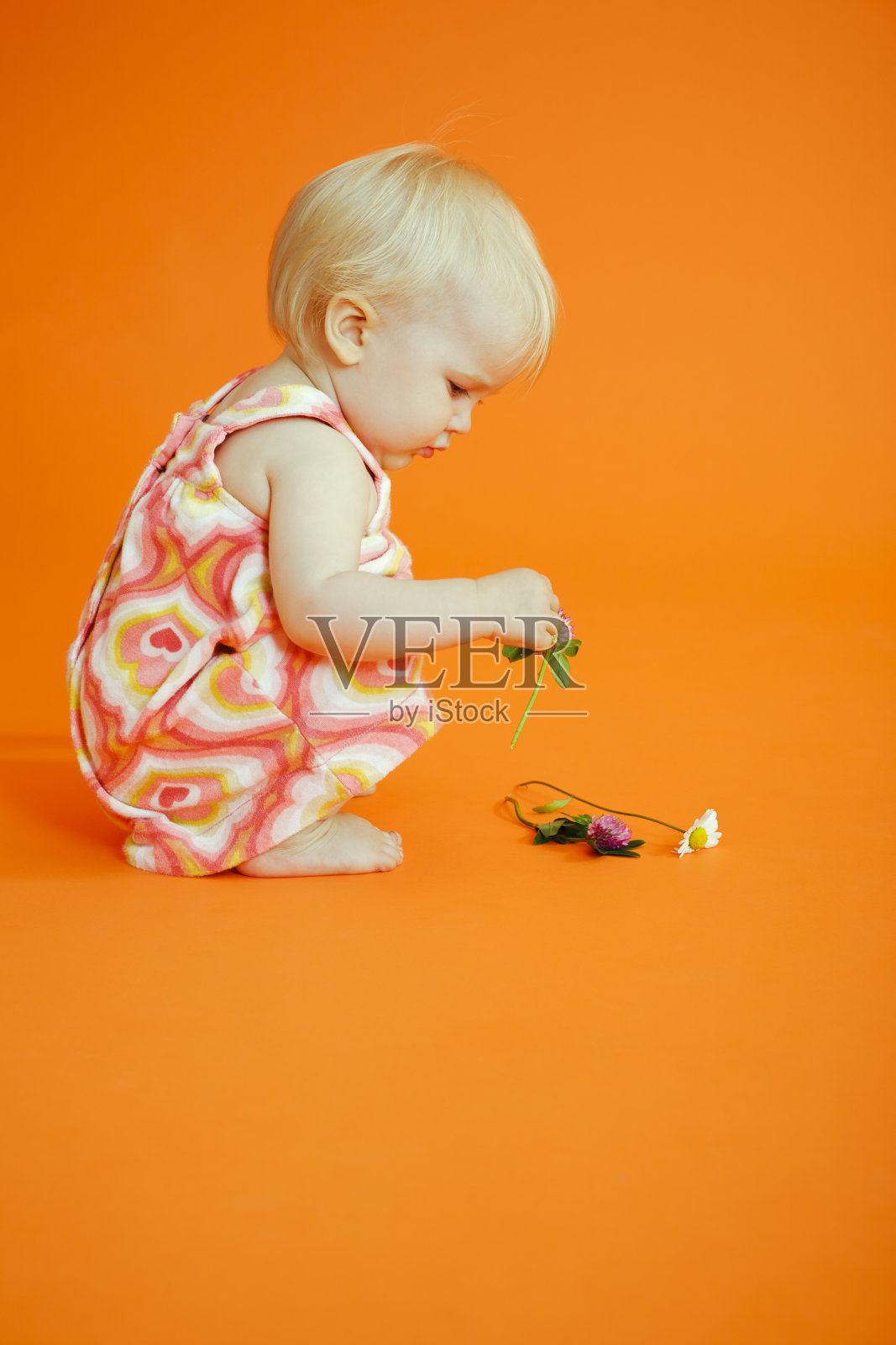 小女孩在摘花照片摄影图片