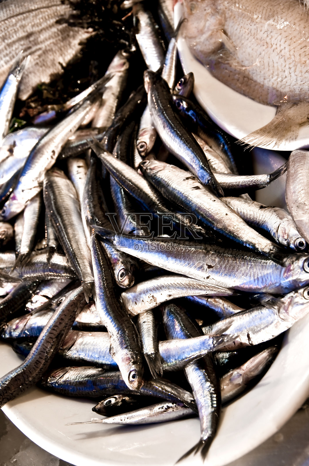 鱼照片摄影图片