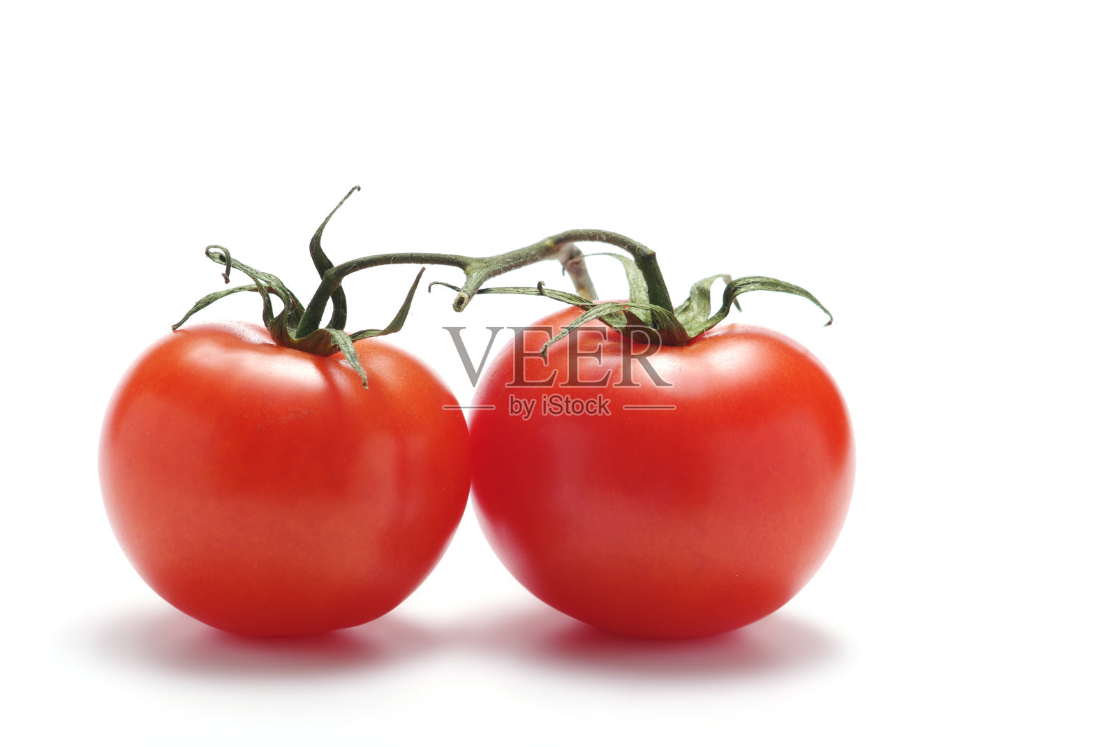 两个西红柿照片摄影图片