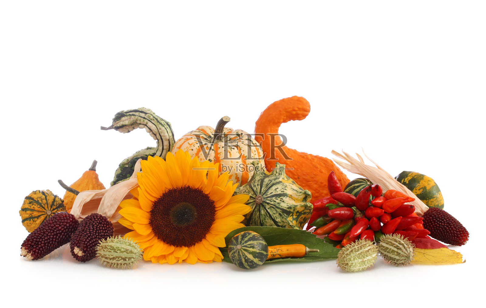 秋季的安排照片摄影图片