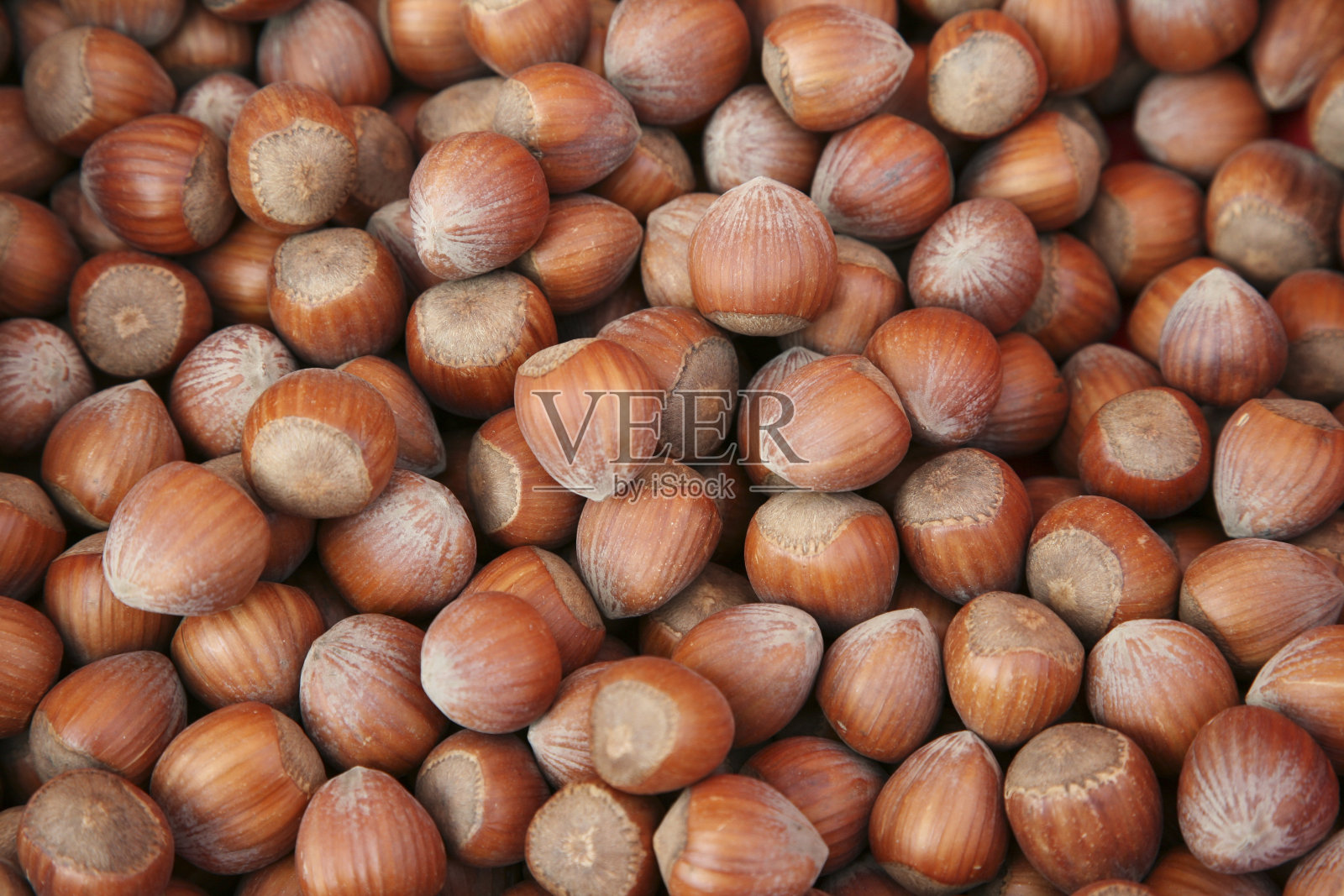 榛子backgroounds照片摄影图片