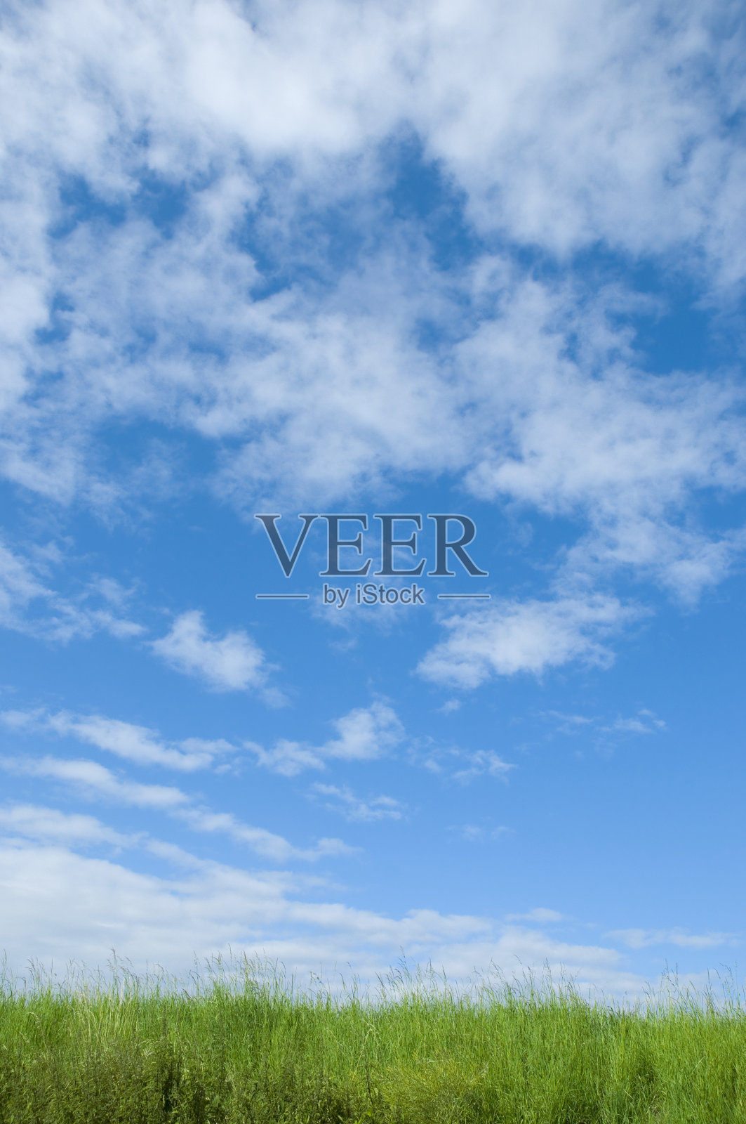 绿色的草和蓝色的天空照片摄影图片