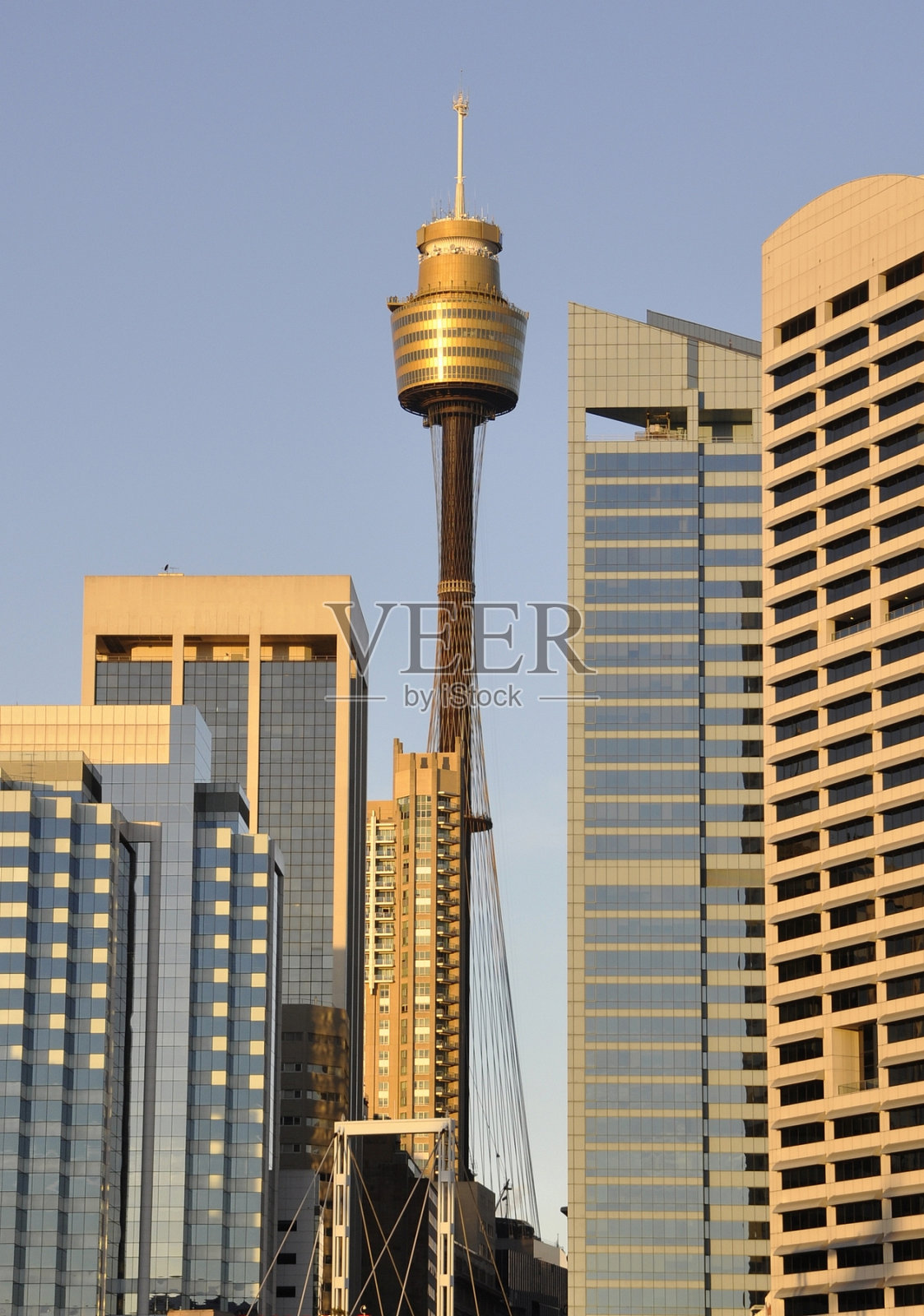 悉尼市中心照片摄影图片