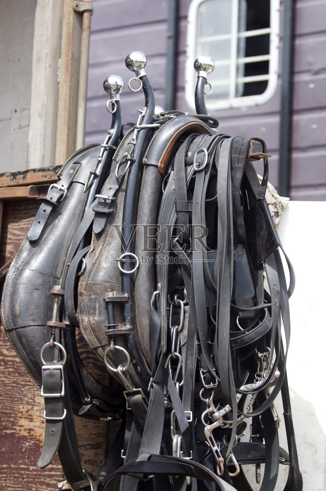 马具照片摄影图片