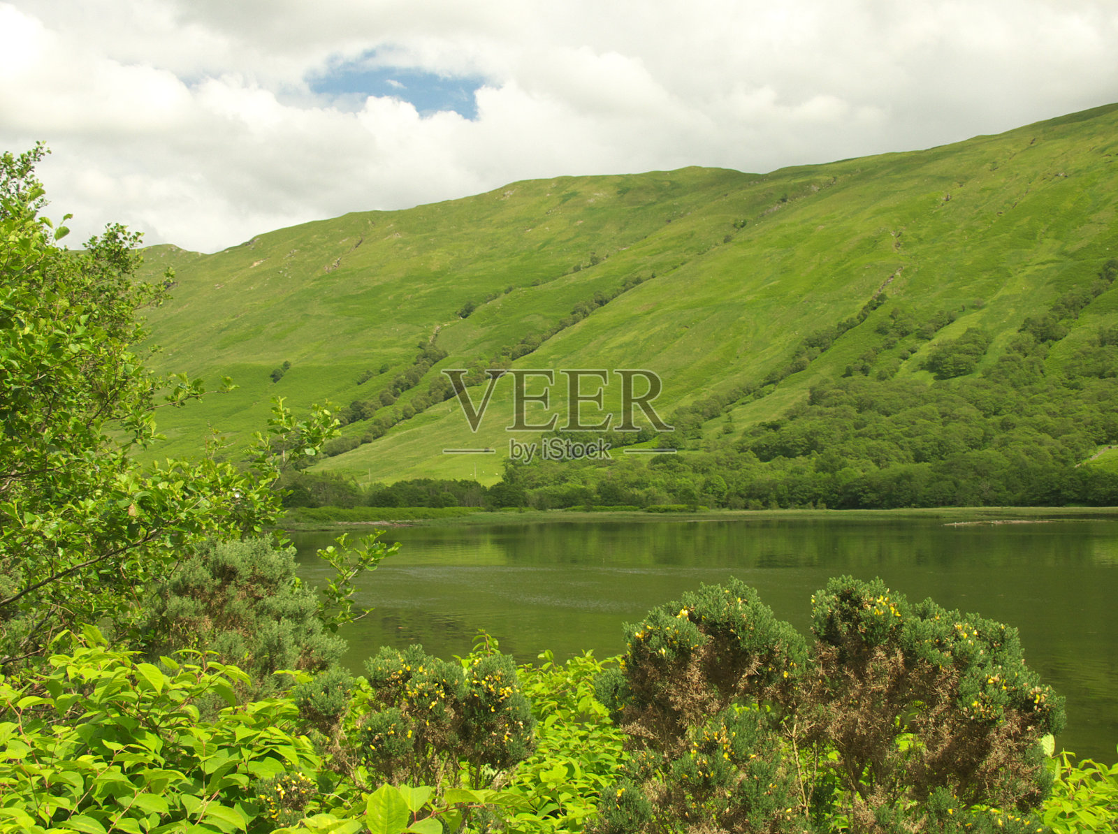 格伦·费恩照片摄影图片