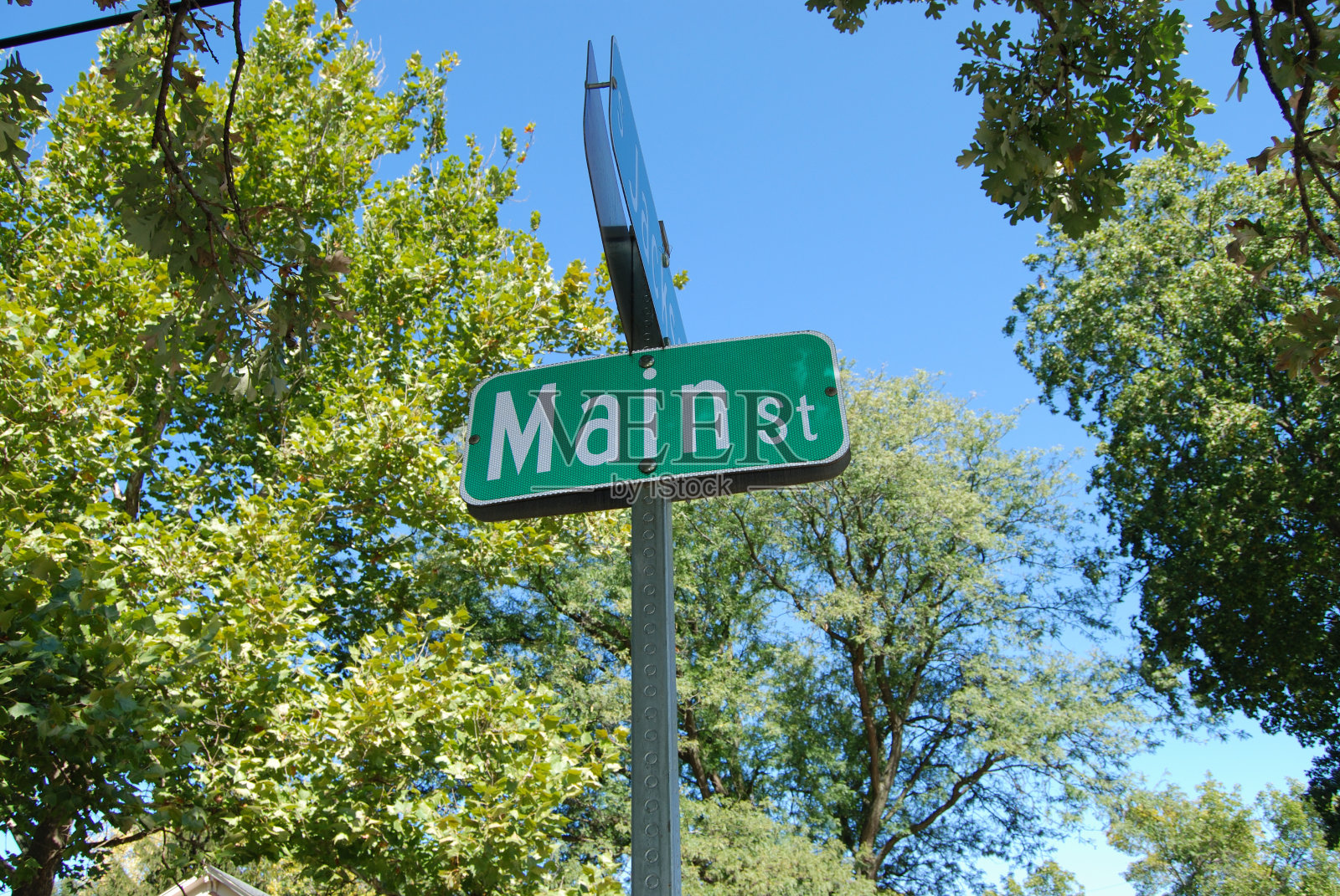 主街道的标志，枝叶繁茂的角照片摄影图片