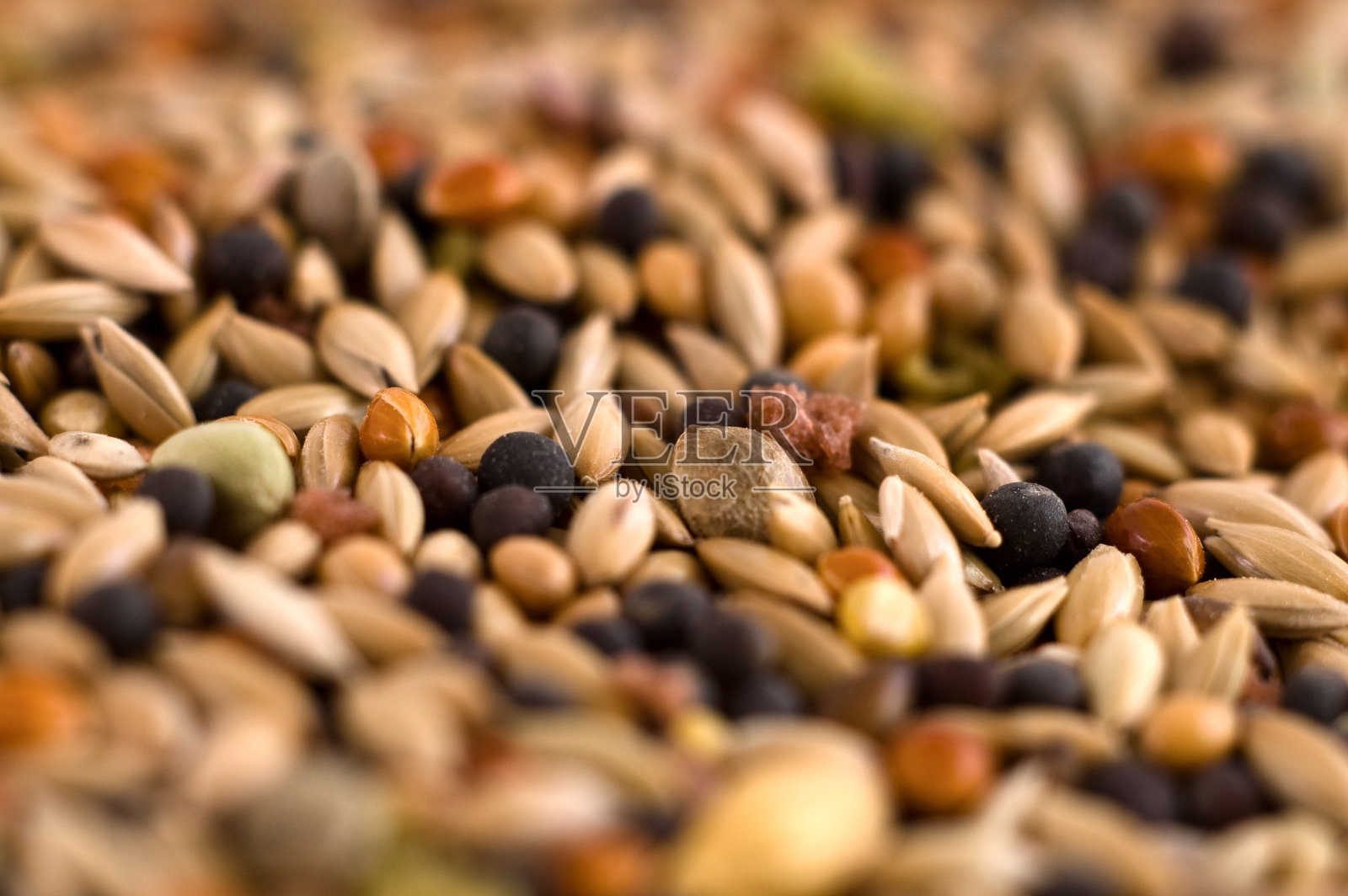 混合各种种子在大特写照片摄影图片