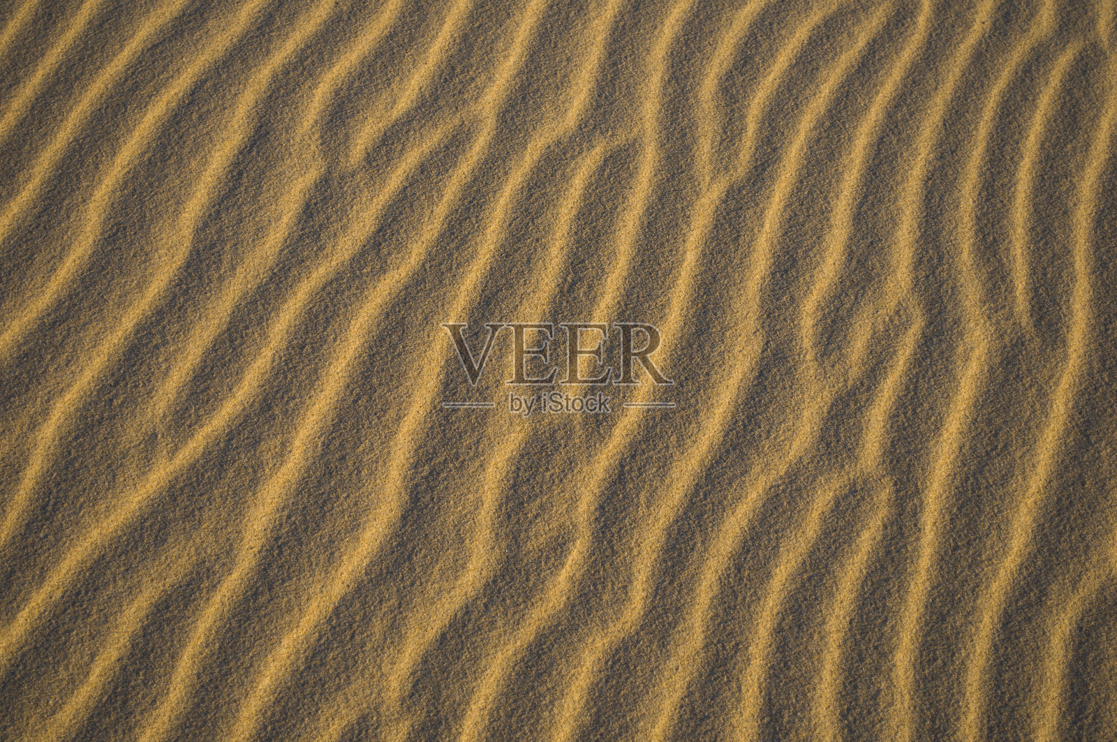 沙波纹照片摄影图片