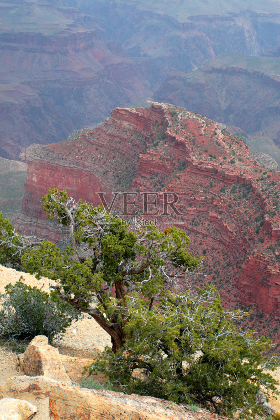 大峡谷国家公园，美国照片摄影图片