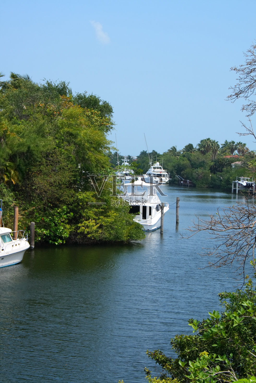 在运河的船只照片摄影图片