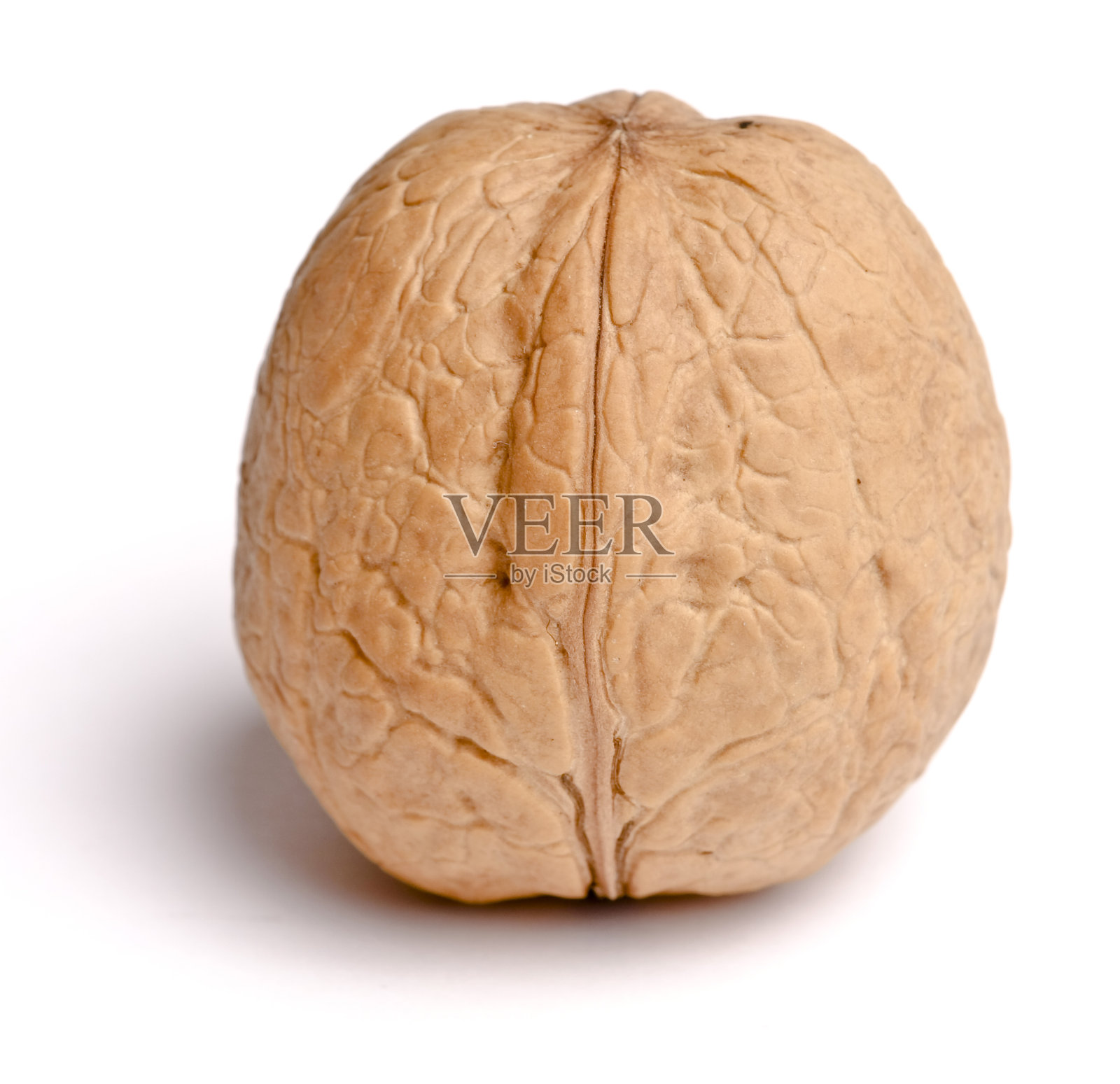 孤立wallnut照片摄影图片