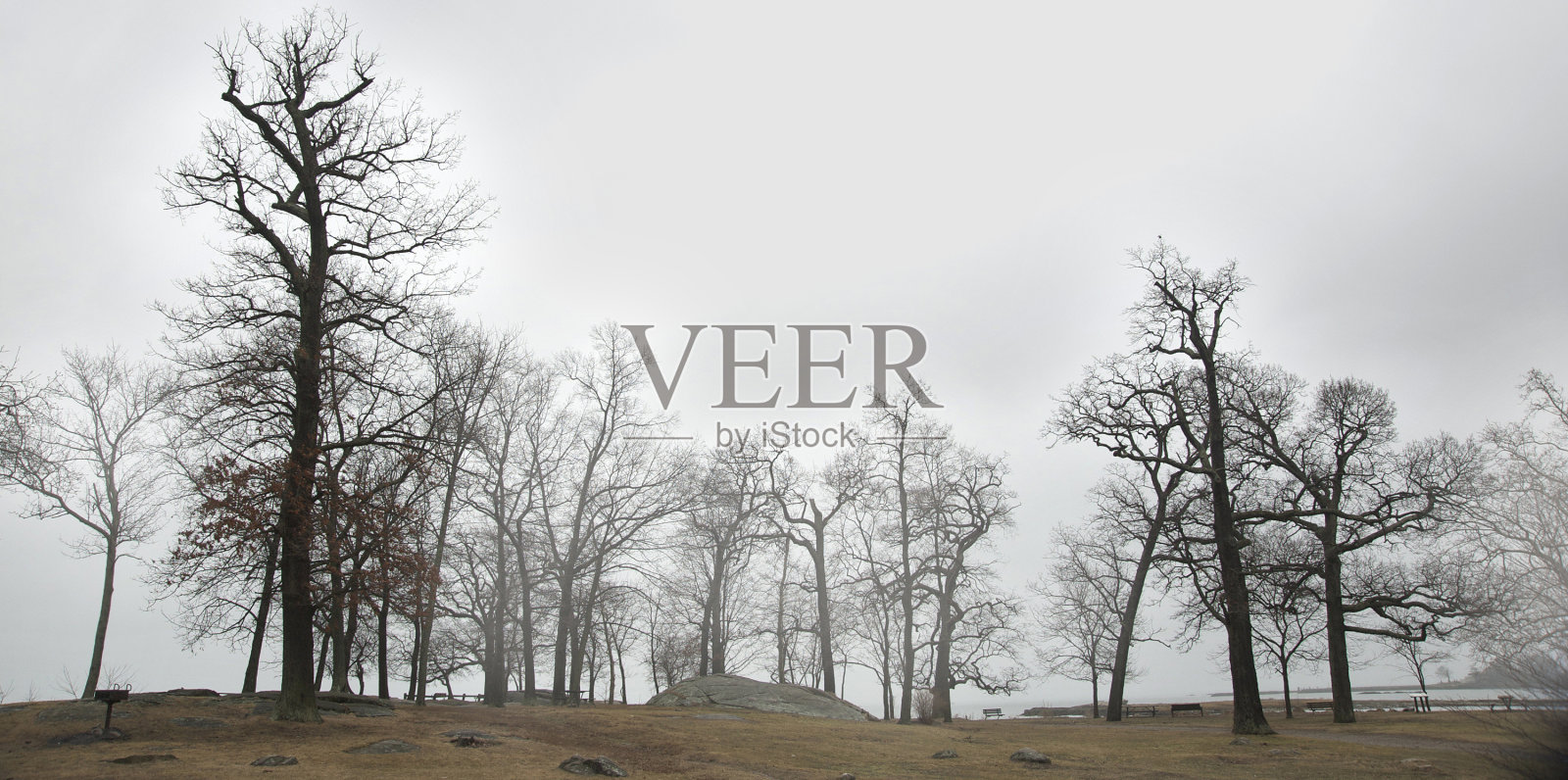 湾公园照片摄影图片