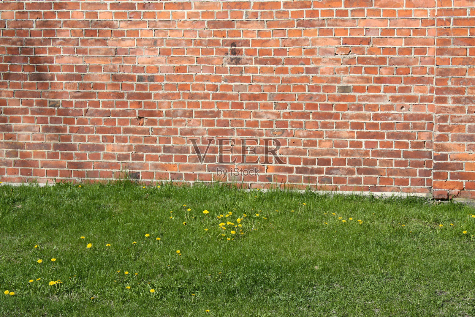 夏天照片摄影图片