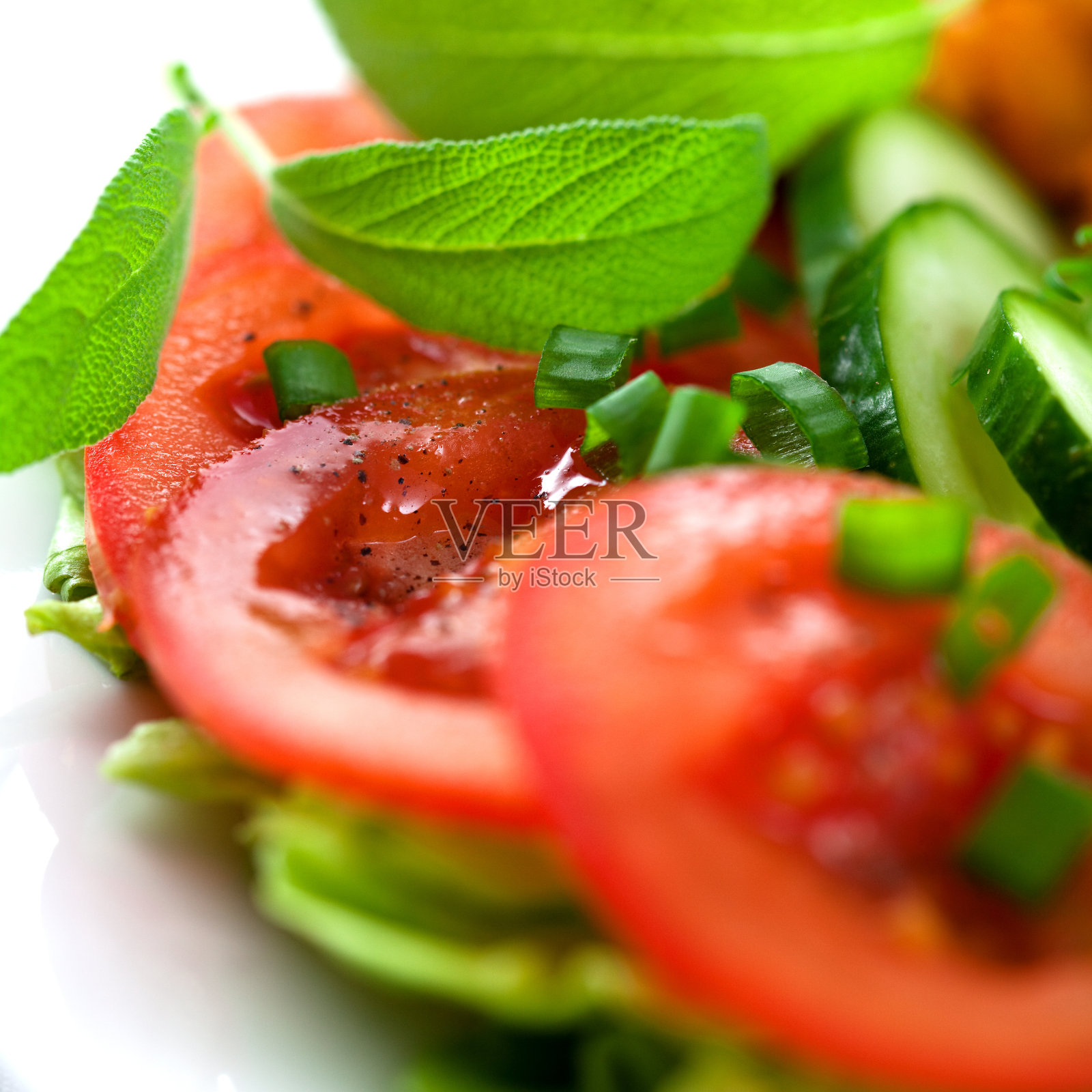 西红柿和黄瓜配上新鲜的香草和香料照片摄影图片