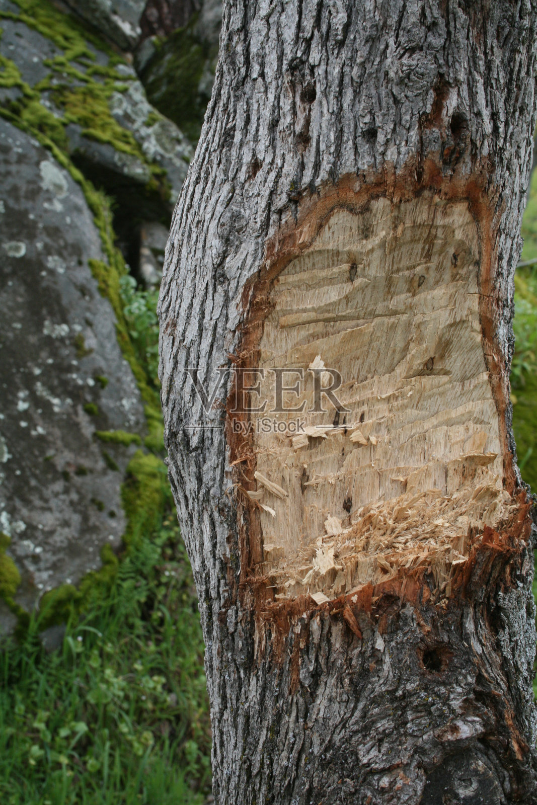 取消照片摄影图片