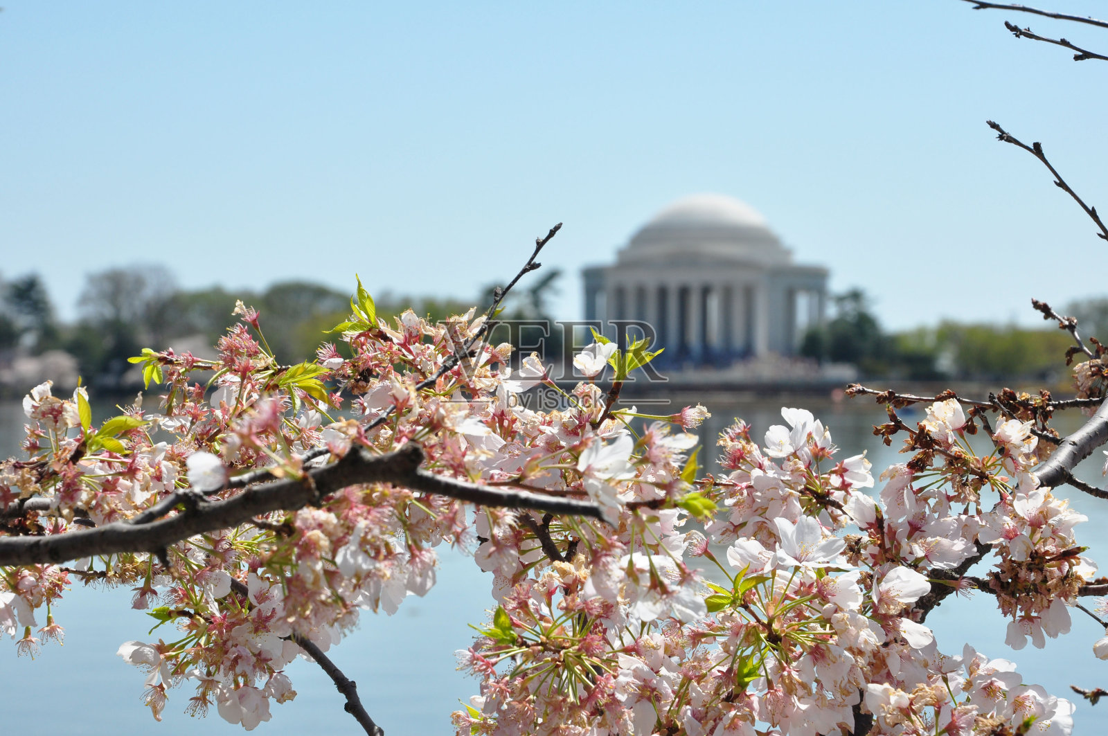 杰斐逊纪念堂照片摄影图片