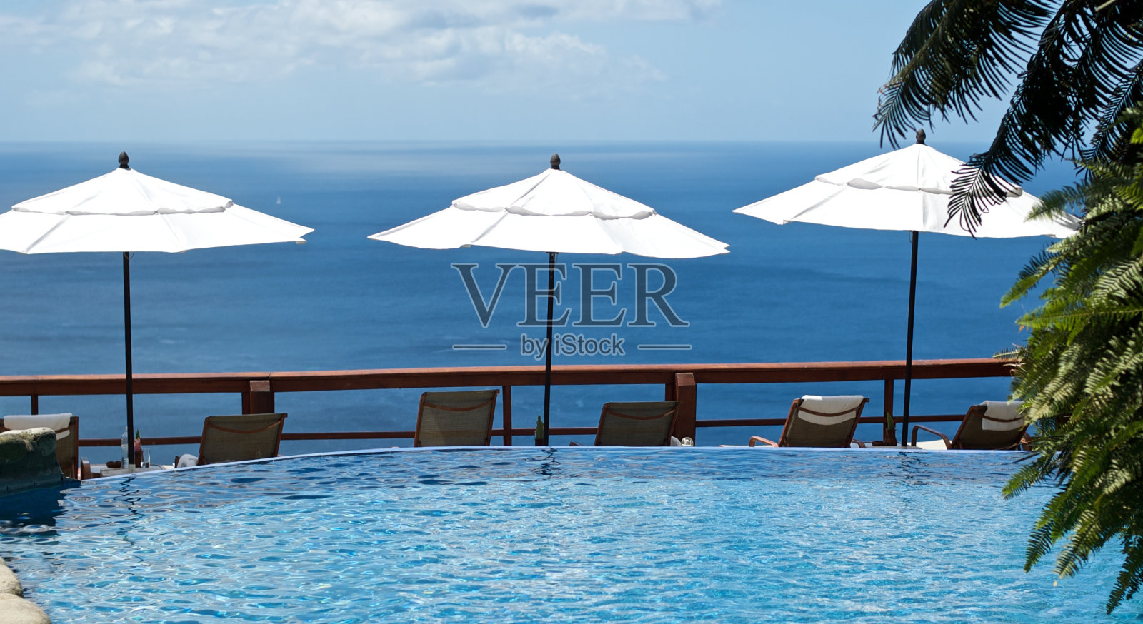 泳池照片摄影图片