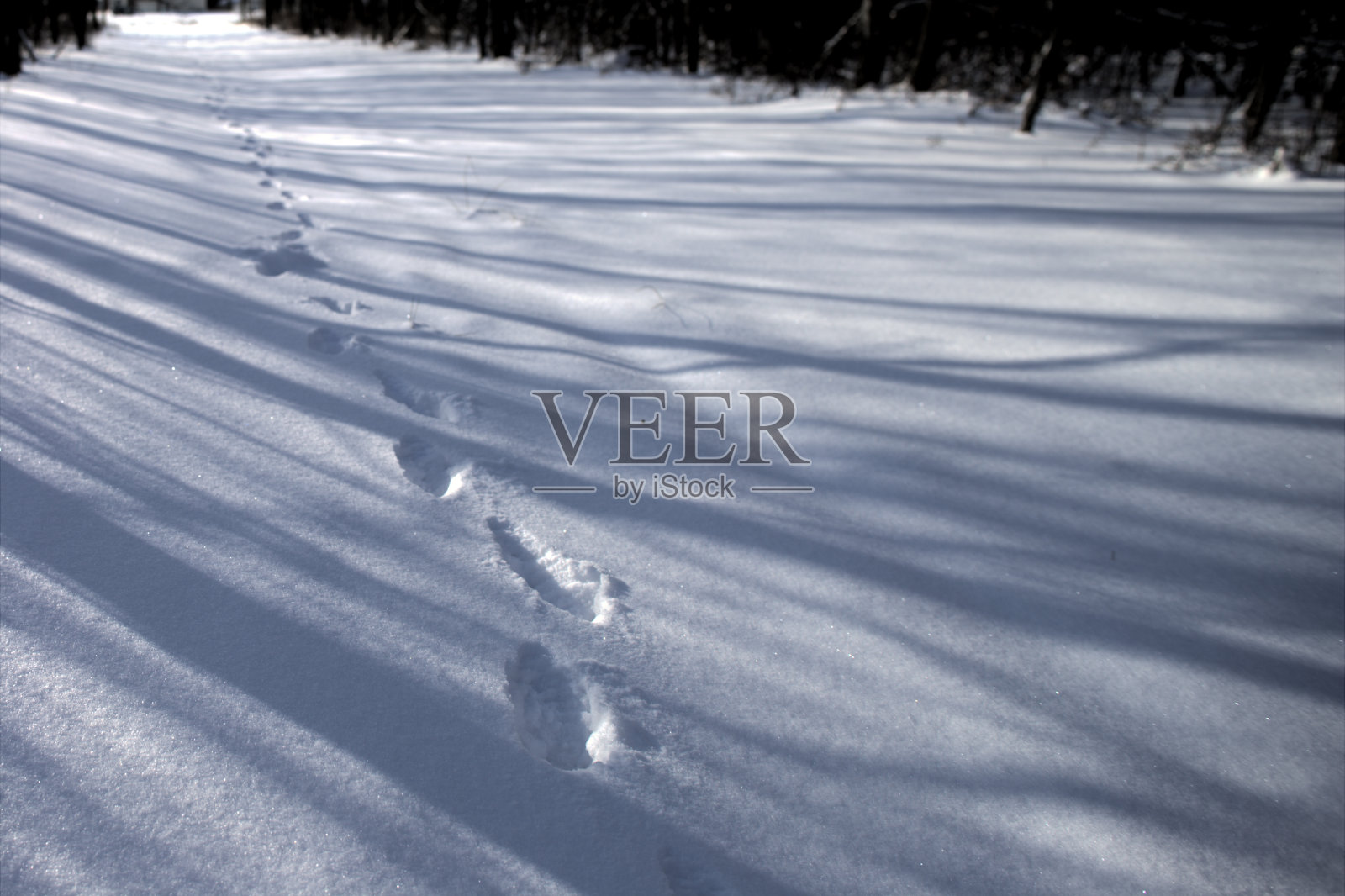 脚印和阴影照片摄影图片