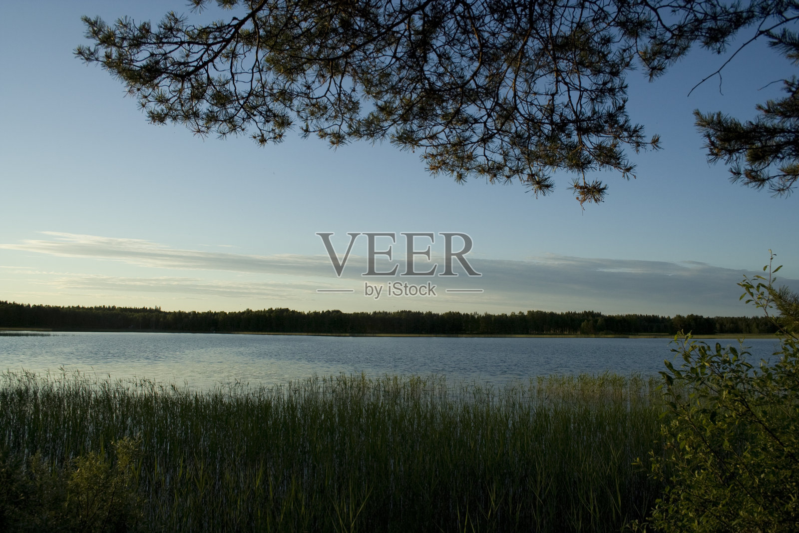 夏天的湖景照片摄影图片