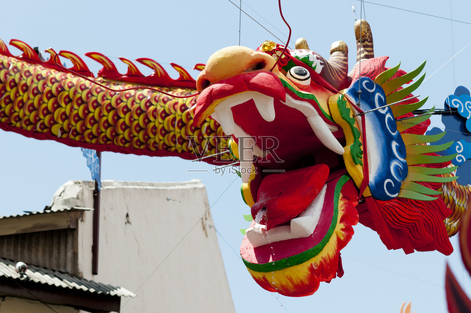 龙照片摄影图片