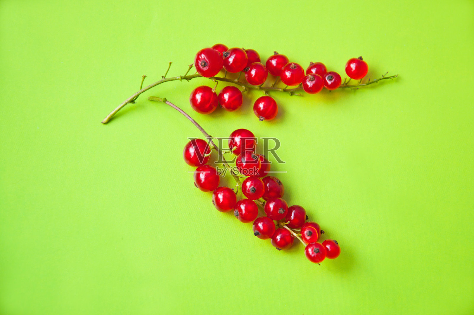 绿色的红醋栗照片摄影图片